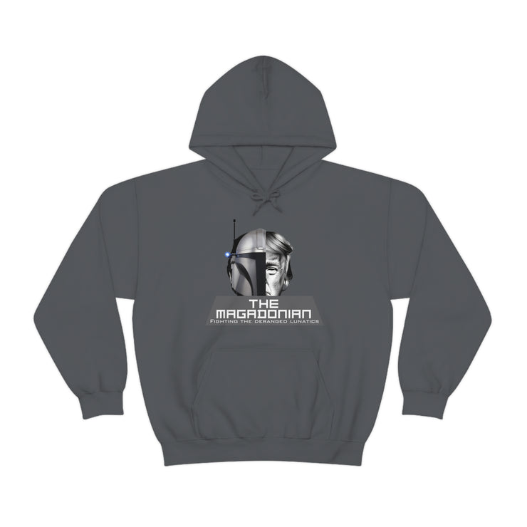 The Magadonian fighting the deranged lunatics Heavy Blend™ Hooded Sweatshirt