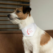 Amor pellizcame que yo te amo Pet Bandana Collar