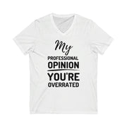 My professional opinion You're overrated Unisex Jersey Short Sleeve V-Neck T-shirt